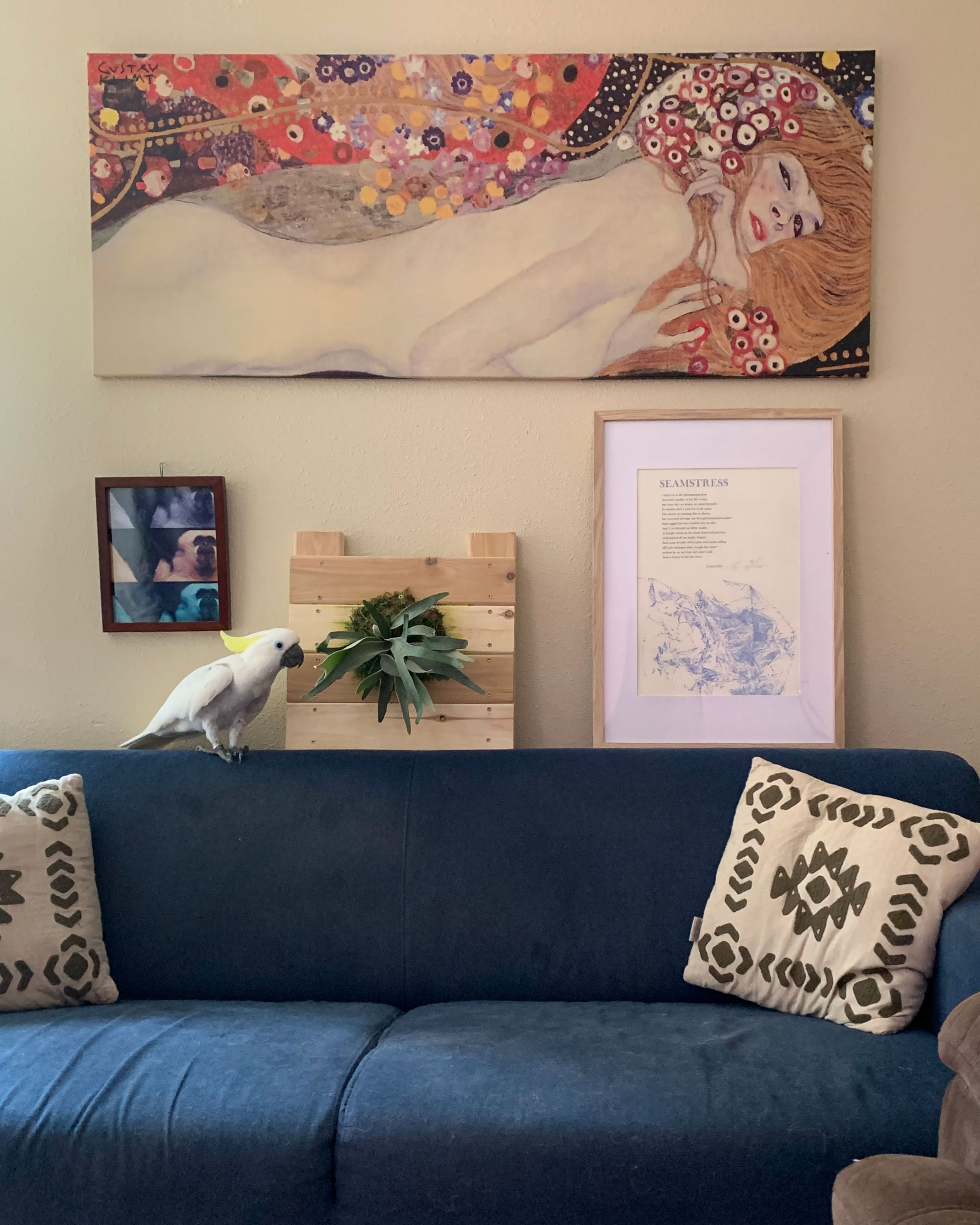 A domestic space with a blue couch and brown pillows. A large decorative painting of a nude figure hangs on the wall along with a few other pictures including the Seamstress broadside. A white cockatoo bird with a bright yellow crest is perched on the back of the sofa.