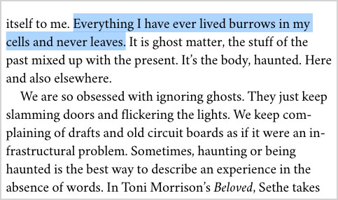 “Everything I have ever lived burrows in my cells and never leaves. It is ghost matter, the stuff of the past mixed up with the present. It’s the body, haunted. Here and also elsewhere. We are so obsessed with ignoring ghosts. They just keep slamming doors and flickering the lights. We keep complaining of drafts and old circuit boards as if it were an infrastructural problem. Sometimes, haunting or being haunted is the best way to describe an experience in the absence of words.”