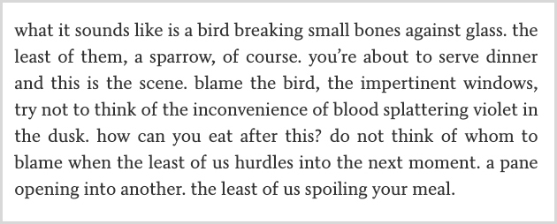 “what it sounds like is a bird breaking small bones against glass. the least of them, a sparrow, of course. you’re about to serve dinner and this is the scene. blame the bird, the impertinent windows, try not to think of the inconvenience of blood splattering violet in the dusk. how can you eat after this? do not think of whom to blame when the least of us hurdles into the next moment. a pane opening into another. the least of us spoiling your meal.”